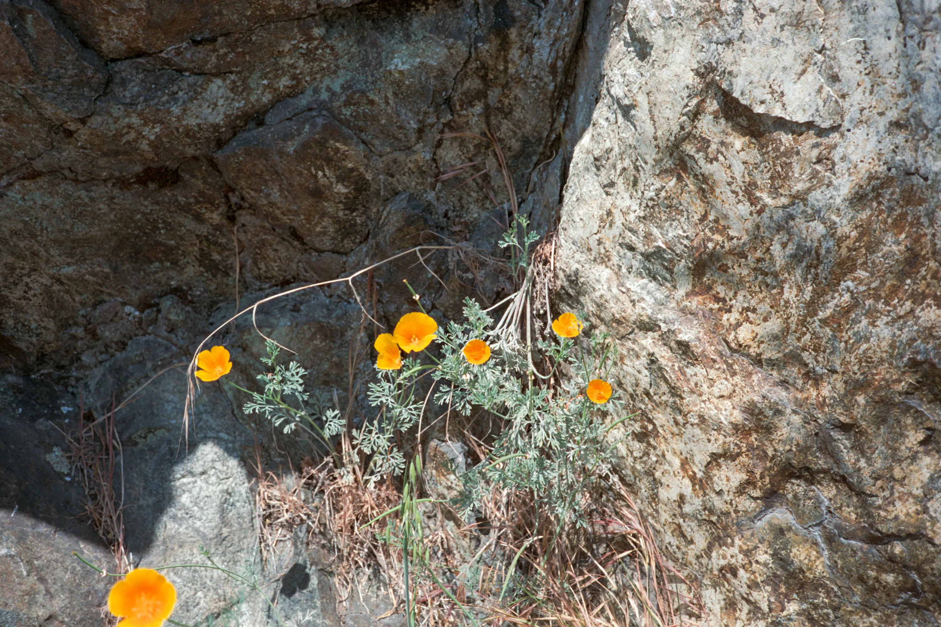 16-bit raw, converted with PPRC, auto-adjusted in Lightroom Classic — 20230821_01_15.jpg