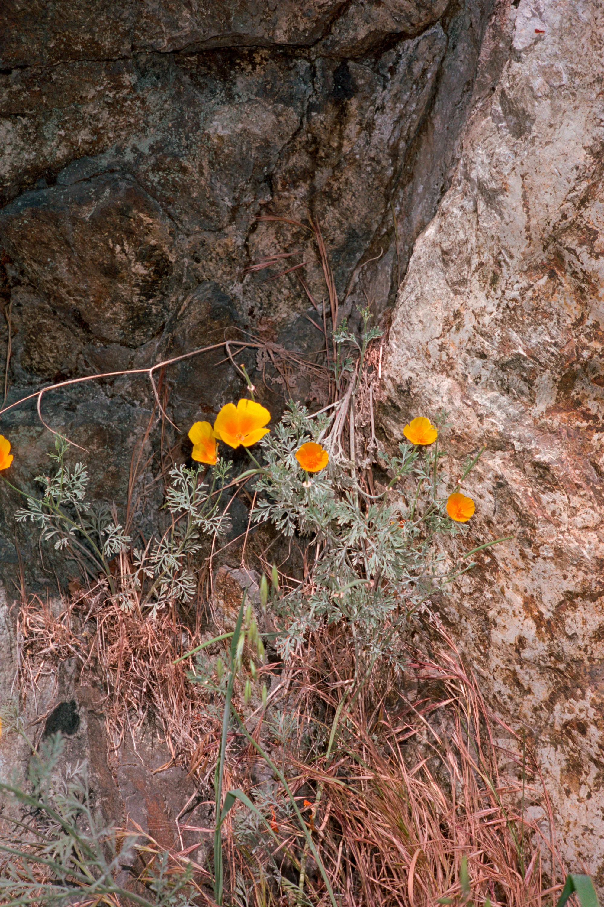 16-bit raw, converted with PPRC, auto-adjusted in Lightroom Classic — 20230821_01_16.jpg
