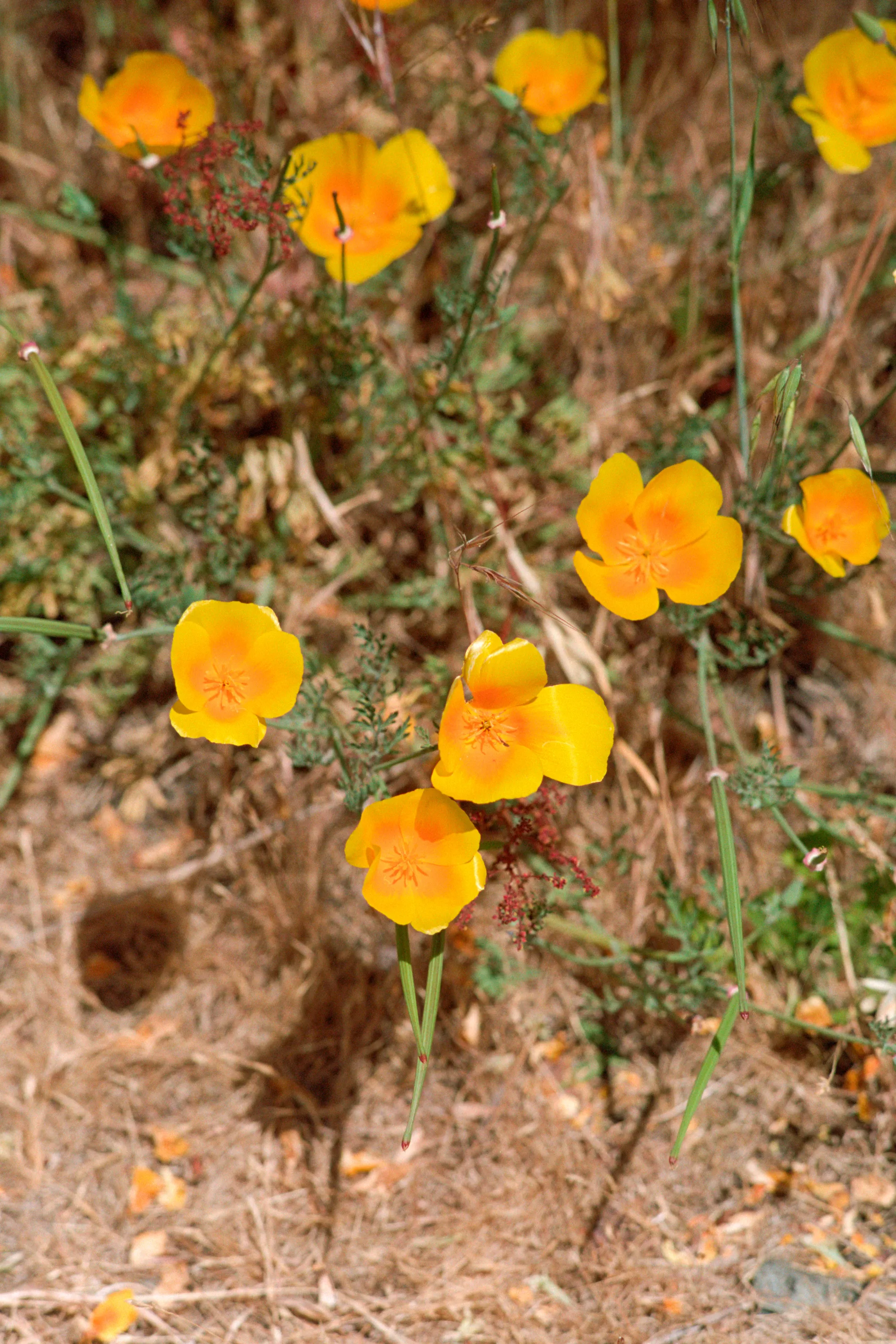 16-bit raw, converted with PPRC, auto-adjusted in Lightroom Classic — 20230915_01_17.jpg