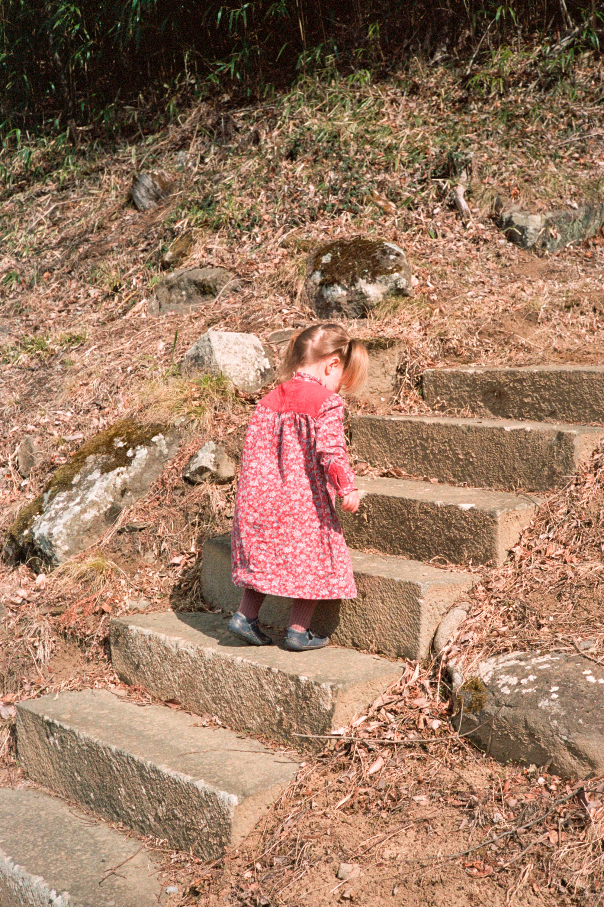 16-bit raw, converted with PPRC, auto-adjusted in Lightroom Classic — 20260324_01_10.jpg