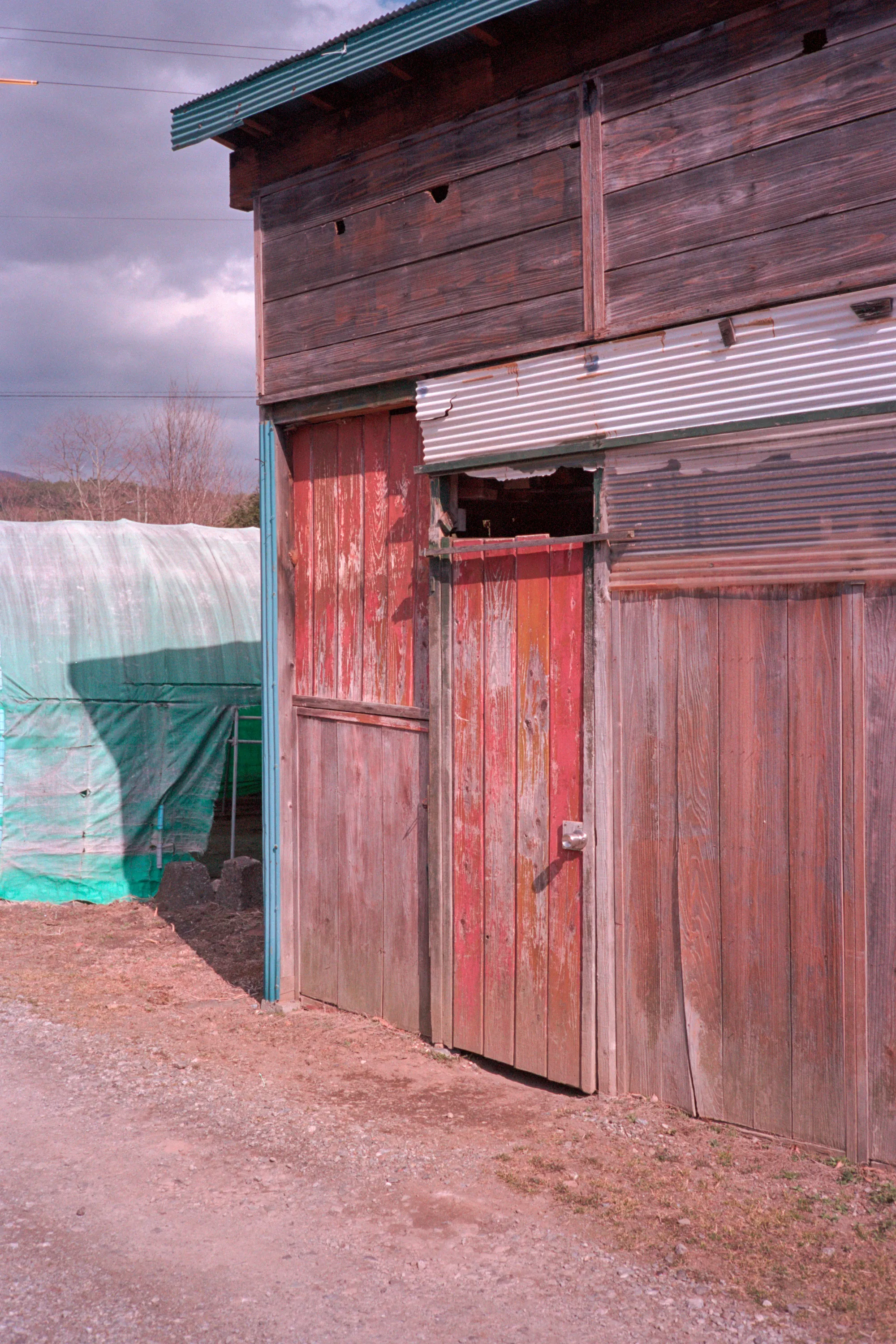 16-bit raw, converted with PPRC, auto-adjusted in Lightroom Classic — 20260324_01_15.jpg