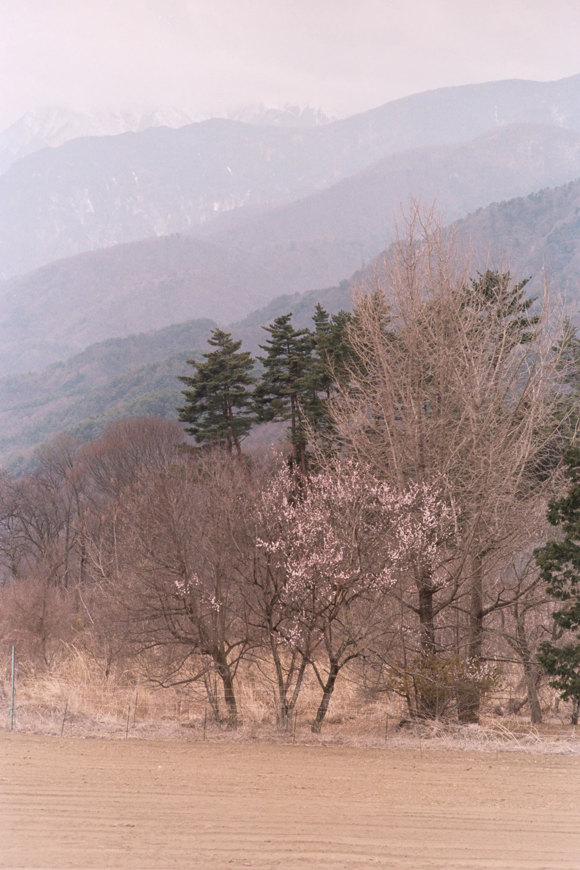 Default export from PSI/TLXCD (8-bit), auto-adjusted in Lightroom Classic — 20260326_01_03.jpg