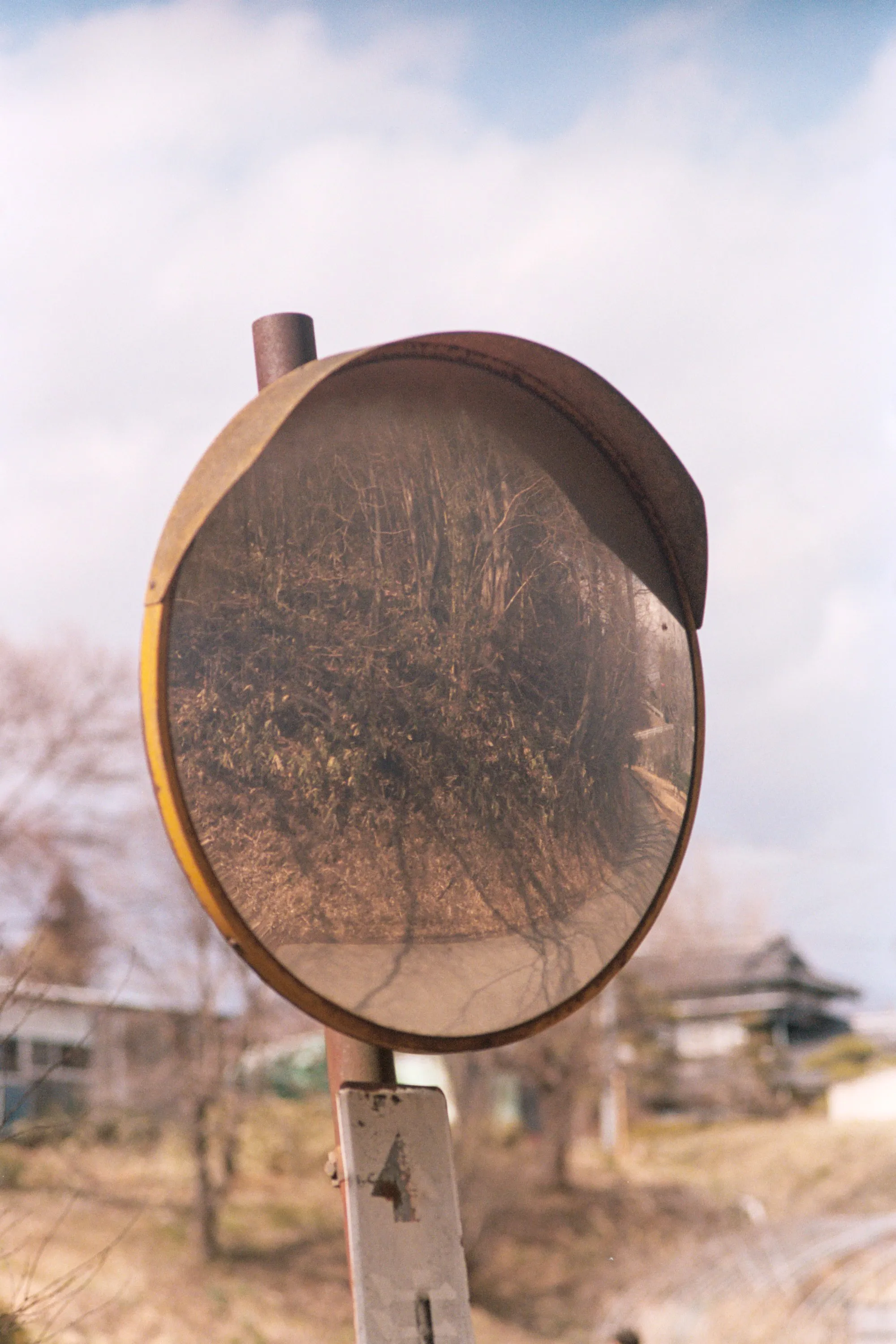 Default export from PSI/TLXCD (8-bit), auto-adjusted in Lightroom Classic — 20260326_01_15.jpg