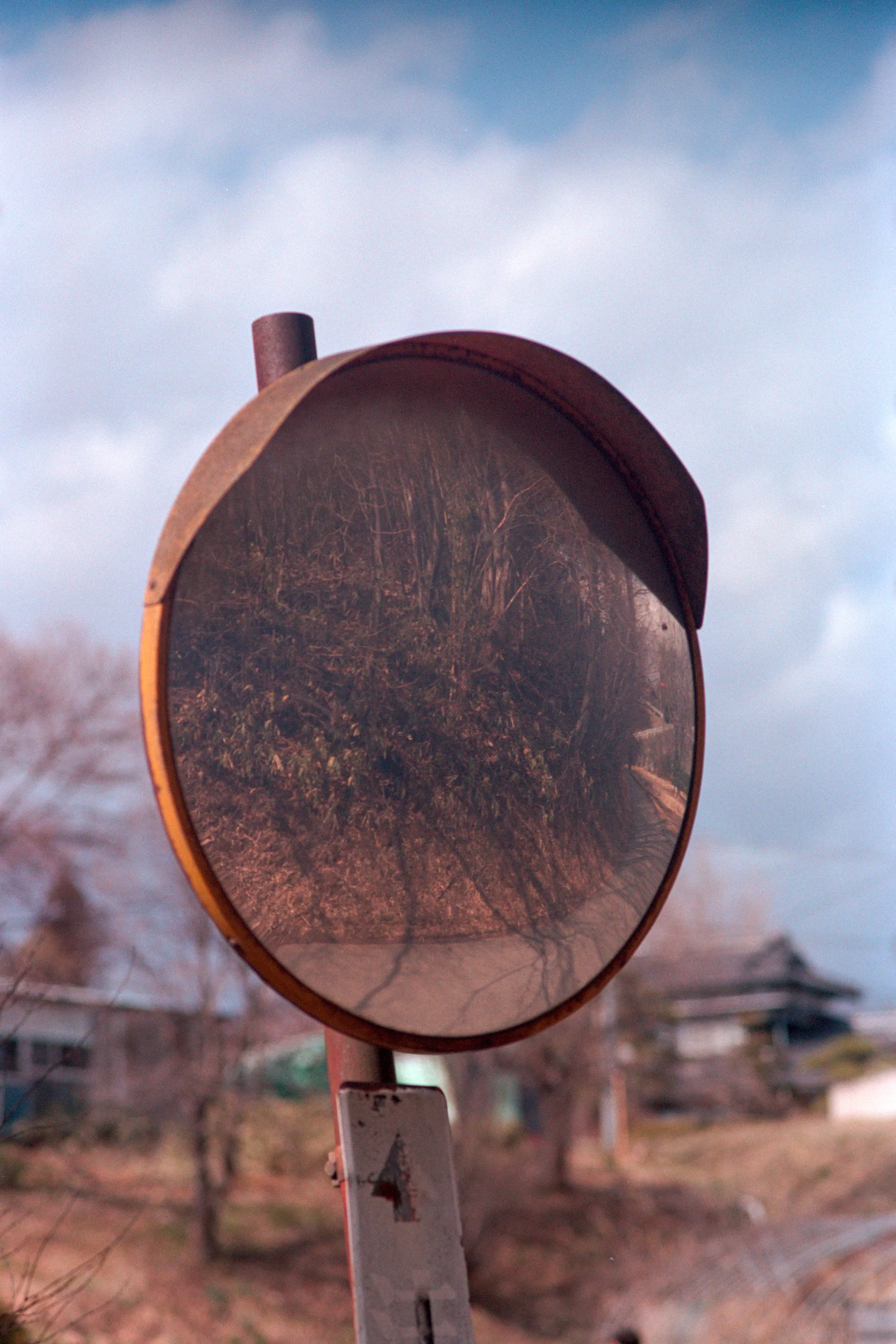 16-bit raw, converted with PPRC, auto-adjusted in Lightroom Classic — 20260326_01_15.jpg