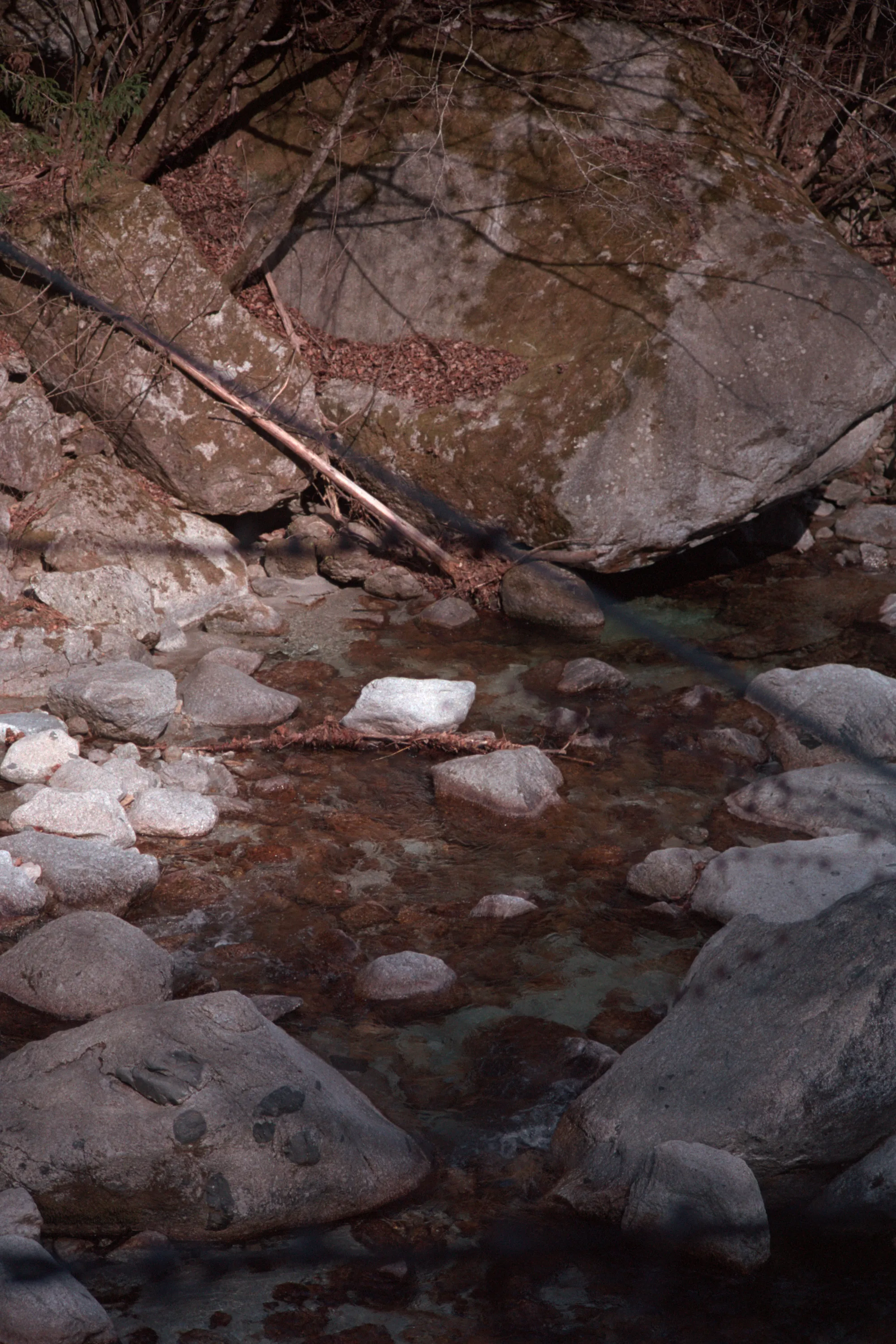 16-bit raw, converted with PPRC, straight out of each workflow — 20260326_01_35.jpg