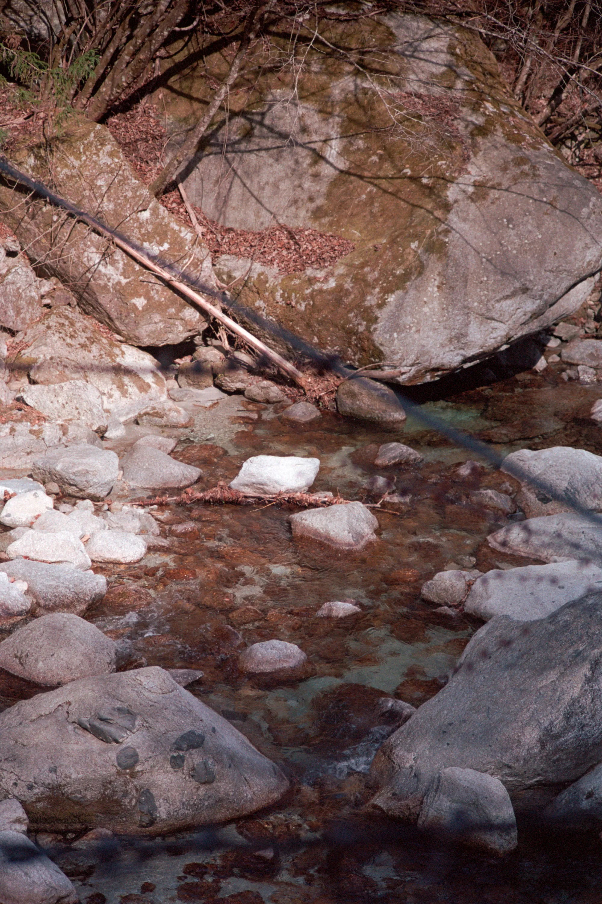 16-bit raw, converted with PPRC, auto-adjusted in Lightroom Classic — 20260326_01_35.jpg