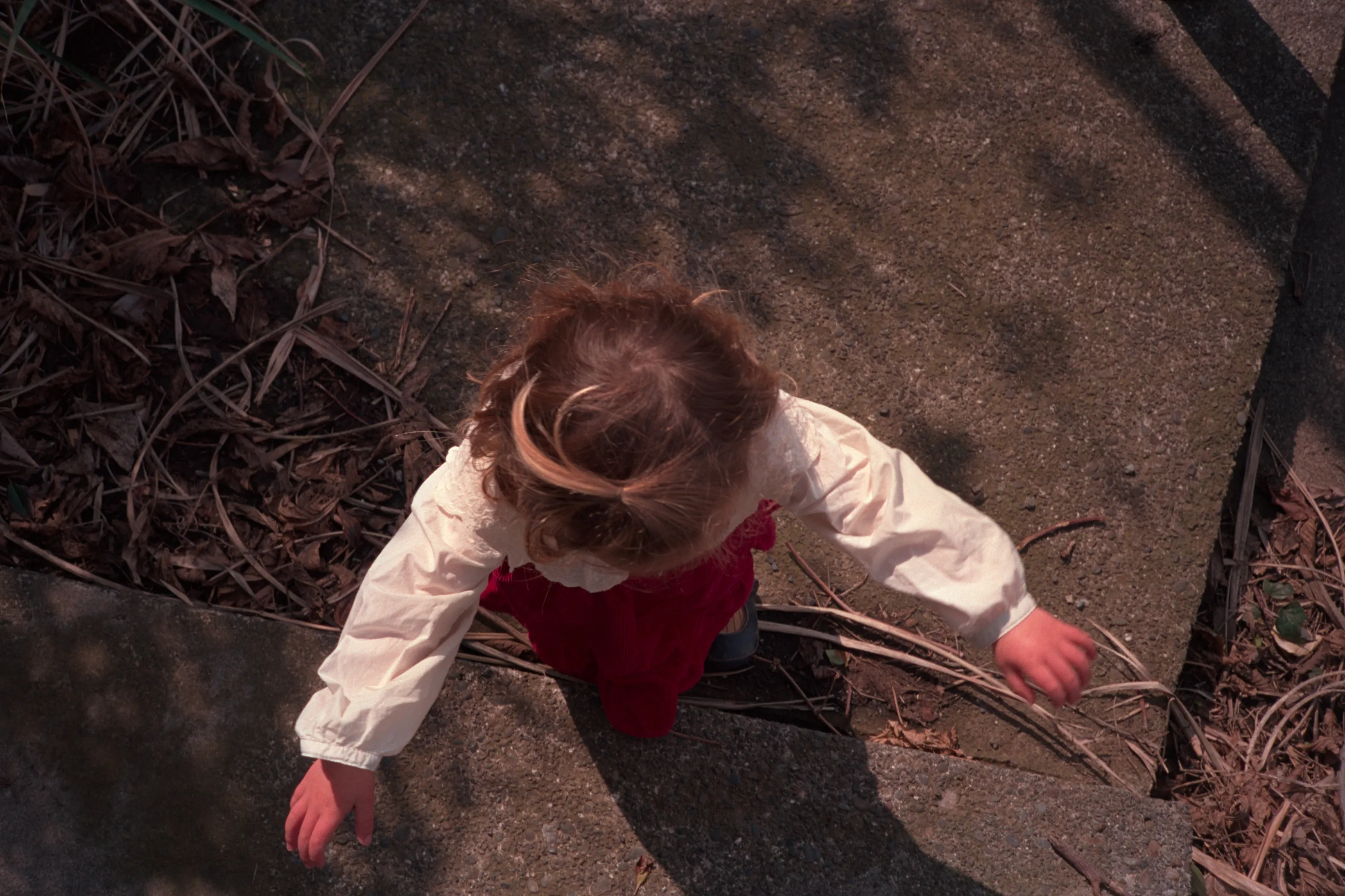 16-bit raw, converted with PPRC, straight out of each workflow — 20260328_01_26.jpg