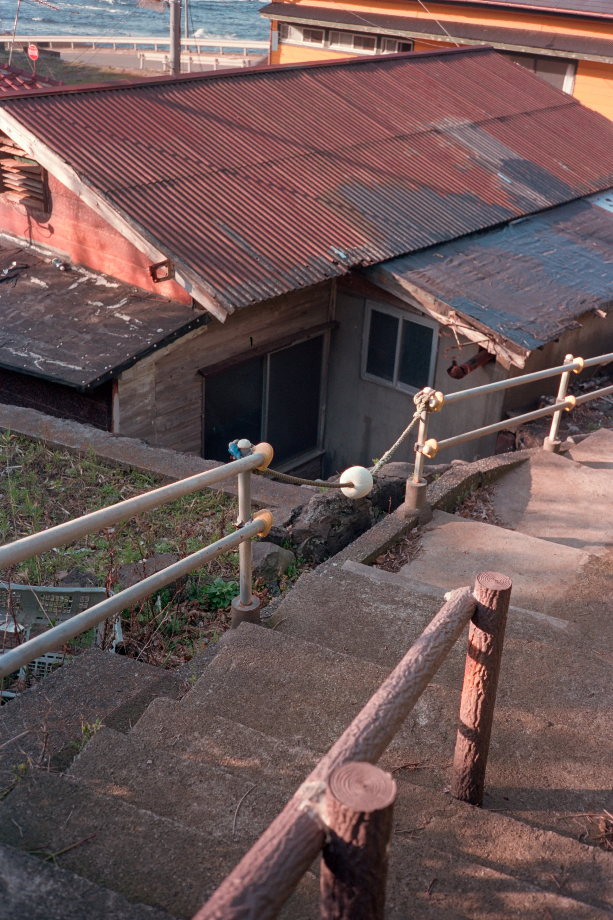 16-bit raw, converted with PPRC, auto-adjusted in Lightroom Classic — 20260329_01_11.jpg