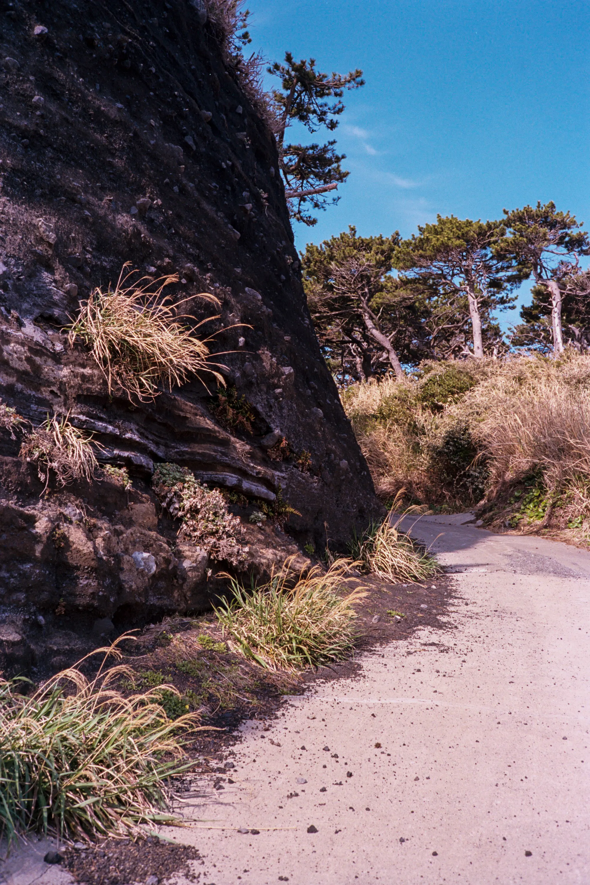 Default export from PSI/TLXCD (8-bit), auto-adjusted in Lightroom Classic — 20260329_01_18.jpg