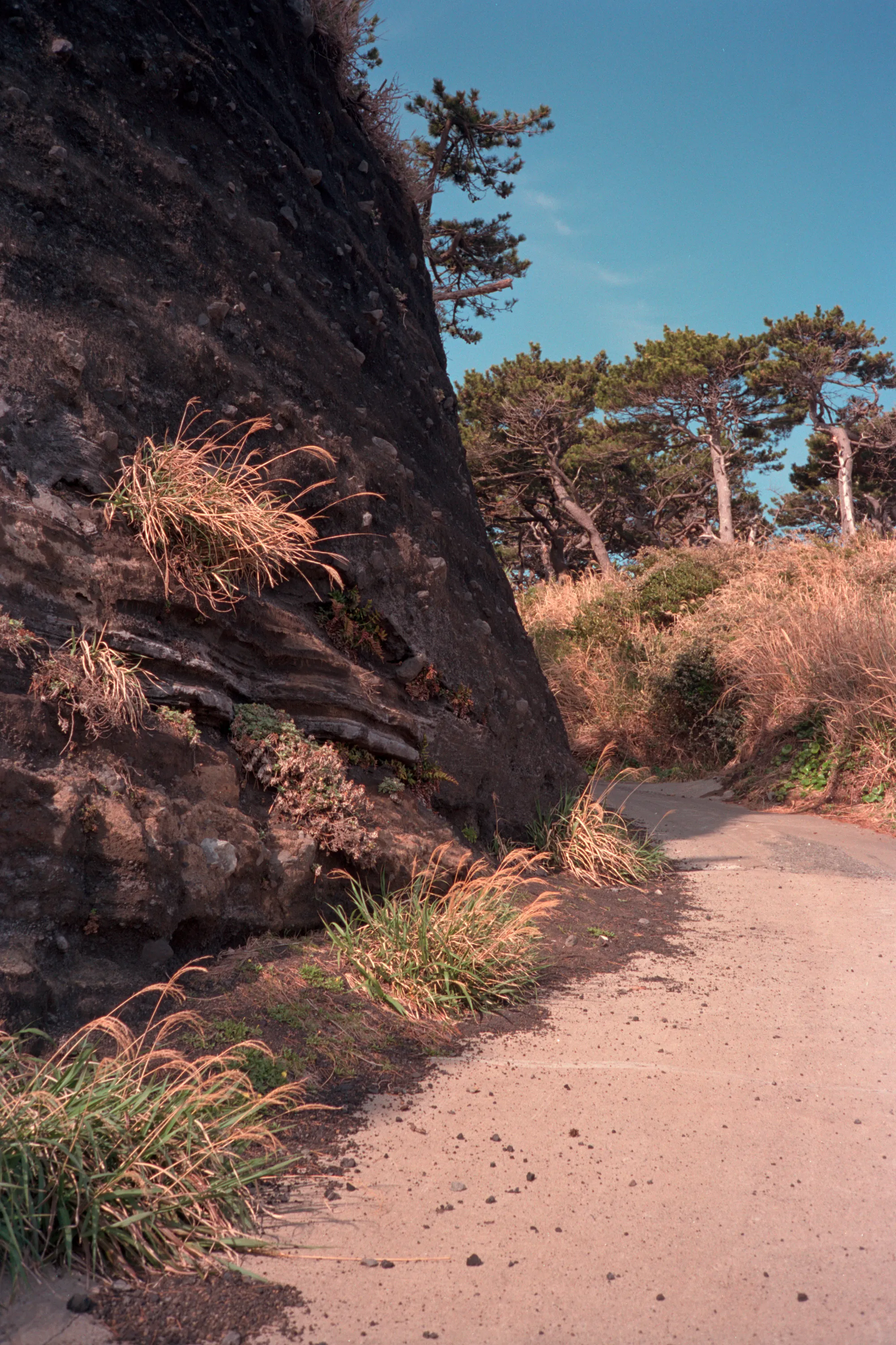 16-bit raw, converted with PPRC, auto-adjusted in Lightroom Classic — 20260329_01_18.jpg