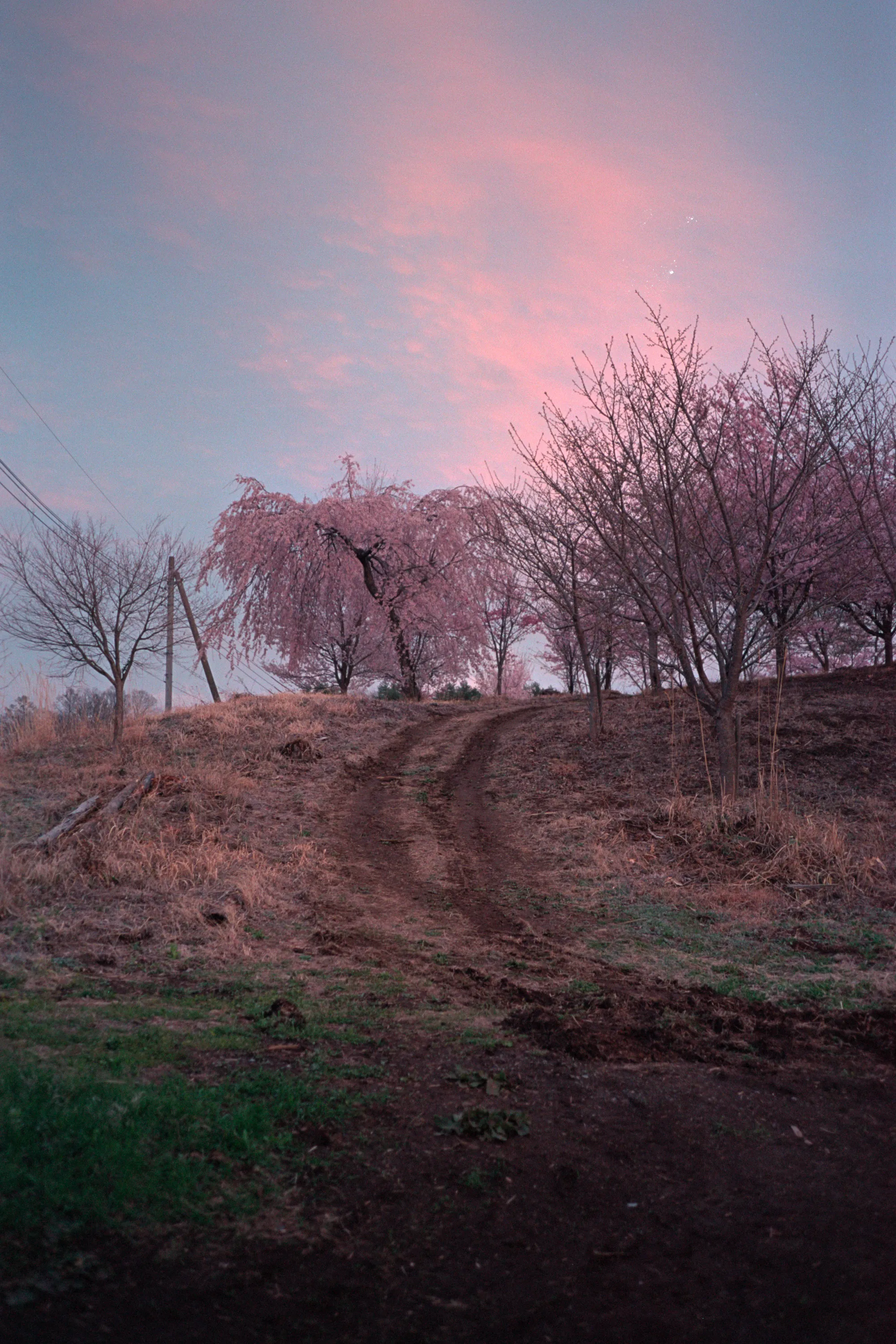 16-bit raw, converted with PPRC, straight out of each workflow — 20260406_01_24.jpg