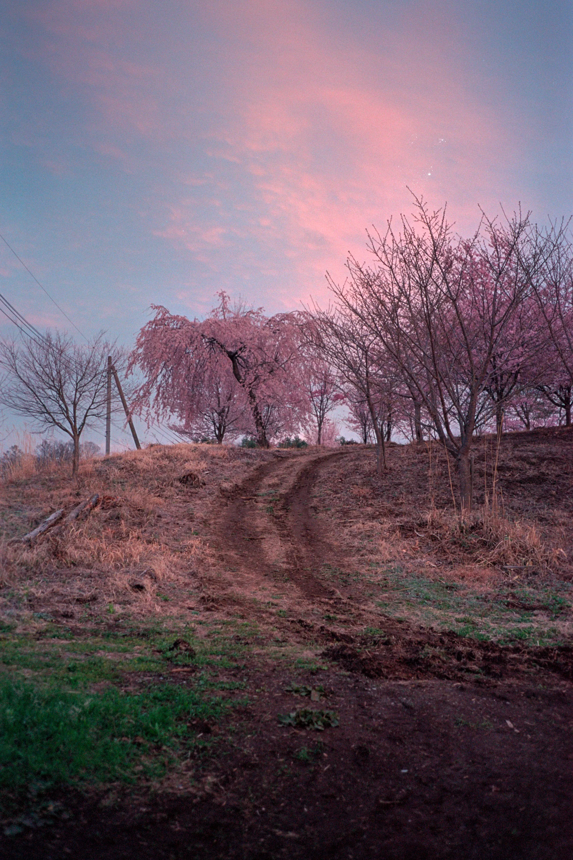 16-bit raw, converted with PPRC, auto-adjusted in Lightroom Classic — 20260406_01_24.jpg
